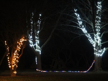 A display at the Gray's Creek Holiday Sparkle Drive-Through. Photo on Thursday, December 3, 2020, in Cornwall, Ont. Todd Hambleton/Cornwall Standard-Freeholder/Postmedia Network