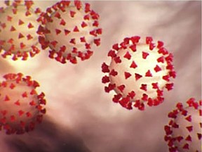 An illustration created at the Centers for Disease Control and Prevention  shows the coronavirus, COVID-19.