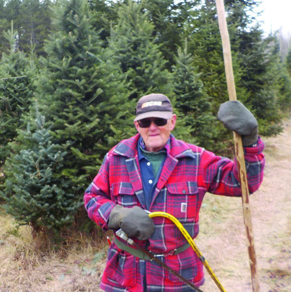 Johnston Brothers has plenty of Christmas trees in a hot market