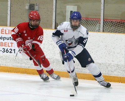 Carbon monoxide leak at Sault high school hockey game leaves players sick -  Sudbury News