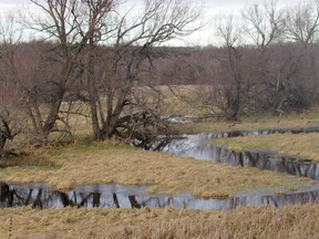 The provincial government is providing $30 million over five years to help conservation groups create or restore wetlands in Ontario.