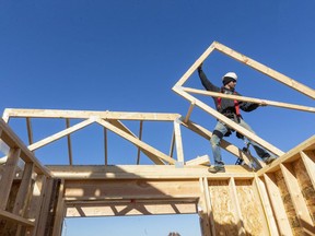 Jeff Apthorp grabs a joist for a new home being built in a new subdivision on the south side of Strathroy-Caradoc west of London. (Mike Hensen/The London Free Press)