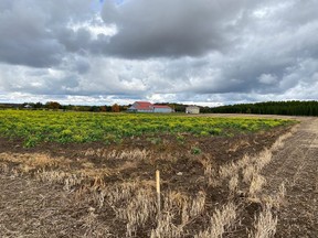 The  site in South Bruce where the NWMO has started drilling the first of two deep boreholes in north of Teeswater as part of their site-selection study.  File photo