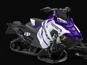 A snowmobile like this was stolen from the back of a pickup truck in Mildmay Sunday, police said. (Supplied)