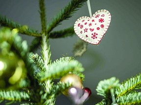 You can even use a living tree, in your house, at Christmas, and with some special care, put it back outside for use another year, Susan Richards points out.