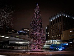 The tree in downtown Edmonton hails from the Whitecourt area.