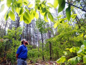 Quinte Conservation lands coordinator Tim Trustham stands among the trees Thursday, June 11, 2020 at Vanderwater Conservation Area southeast of Tweed.
