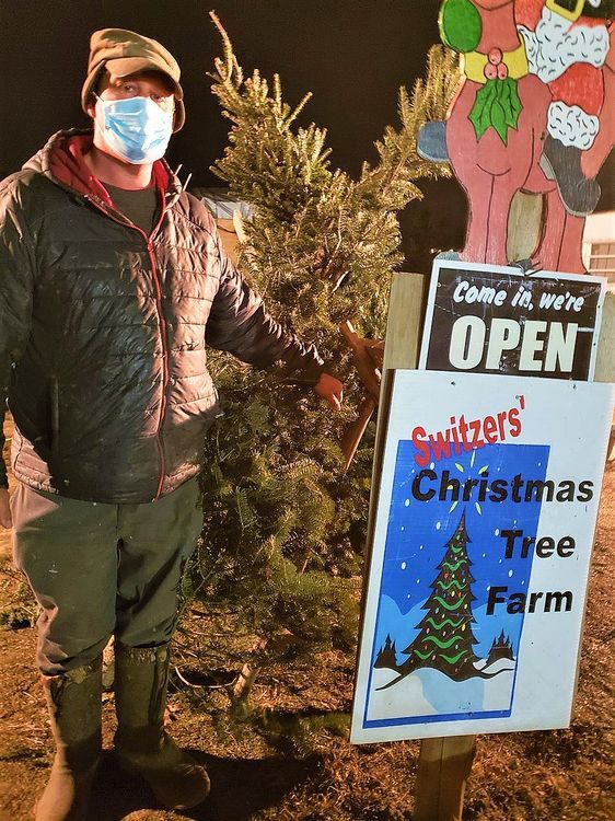 ‘A real Christmas tree is what it’s about’ Belleville Intelligencer