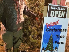 Bancroft Christmas tree farmer Jarrett Switzer said sales of his conifers have been unusually brisk this year in Belleville due to the COVID-19 pandemic as people spend more time at home this holiday season. DEREK BALDWIN