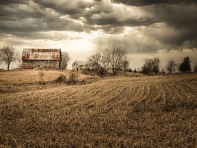 Stirling-based photographer Sandra Randle calls herself "a struggling photographer ... and a perfectionist. Quinte Arts Council's Fiona Campbell features Randle in this week's Cultivating Creativity column. SANDRA RANDLE PHOTO