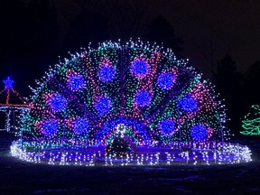 A brilliant peacock of lights is one of the dazzling displays at the annual Brantford Lights at Glenhyrst, which will continue as a drive-thru event nightly from 6 p.m. to 9 p.m. until Jan. 1 despite the provincewide COVID-19 shutdown that comes into effect Boxing Day.