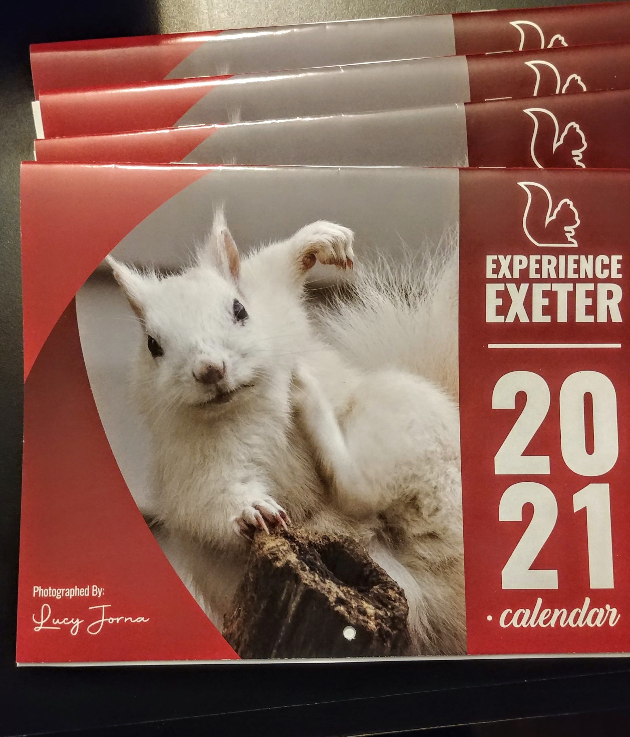 White Squirrel Calendars are available in Exeter Exeter Lakeshore