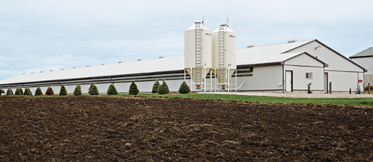 Chicken farmers increase food bank donations | Ontario Farmer