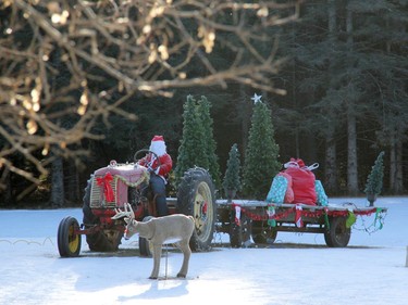Santa Claus hauls some gifts via tractor and trailor while Rudolph looks on. Display is located on Highway 41 just before the big sweeping curve towards Shady Nook. Anthony Dixon