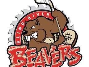 s1 Beavers