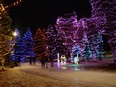 Skaters brave cold temperatures while enjoying the Christmas lights at Central Park in Spruce Grove. The holiday is minimized this year and this is how it should be going forward. File photo