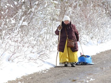 A Lively woman known as The Swan Lady made a trip to Fielding Park to feed the geese and ducks on May 8. John Lappa/Sudbury Star