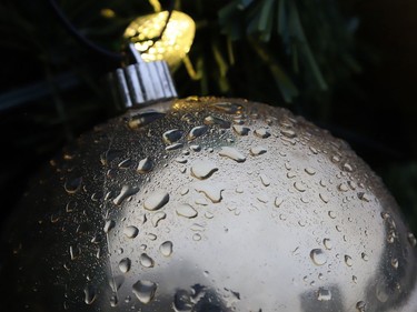 Water droplets cover an ornament hanging from a Christmas tree located at the courtyard at Tom Davies Square on Monday.
