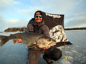 Lake trout are a special fish for ice anglers in Sunset Country.