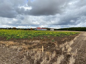 A marker indicates the southeastern limit of the area north of Teeswater which has been assessed by NWMO’s archeological and environmental contractors prior to starting site construction. Within this area, the site for borehole No.1 is currently being constructed.