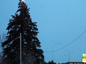 Millet turned the lights back on the Town Christmas Tree in April to brighten spirits.