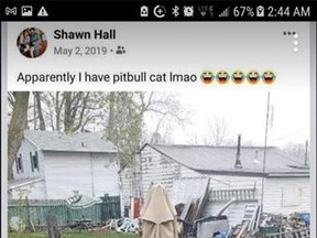 This social media post is among those that have prompted criticism against Shawn Hall in his fight to have his dog, Zeus, returned to his family. The dog was seized by Pet and Wildlife Rescue for fitting the characteristics of a pit bull, which is a banned breed of dog in Ontario. Hall said Zeus is an American bulldog mix. Photo by social media