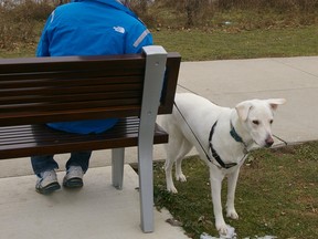 A man named Rick, who doesn't want to be identified, and his dog Elias return to Lake Margaret, where Rick rescued the year-old canine last Saturday after he went through the ice.
Eric Bunnell