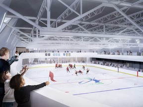 A drawing of one of the rinks at the proposed community centre at Steve Omischl Sports Field Complex. Supplied Graphic