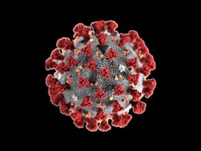 Covid virus