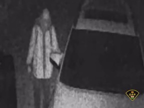 A still image from a video, posted to social media by the Ontario Provincial Police North East Region, shows a person of interest connected to several thefts from vehicles, as well as the theft of one vehicle, in East Ferris. Screenshot