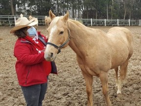 Terry Jenkins, owner of TJ Stables in Chatham, says $3 million in provincial funding will provide a needed boost for the industry. She said the community also came through with generous donations for her horses during the pandemic. (Trevor Terfloth/The Daily News)