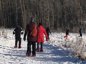 A group tackles a portion of the Beaver Hills Biodiversity Trail wearing snowshoes. Photo Supplied