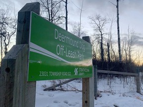 During the latest Tuesday, Jan. 19 regular council meeting, Ward 1 and 2 councillors Robert Parks and Dave Anderson requested information on capacity and expansion possibilities at the Deermound Dog Off-Leash Park. Lindsay Morey/News Staff