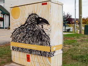 In the past, the Town of Peace River have wrapped utility boxes in art. Now, they are considering other mediums, such as quilts.