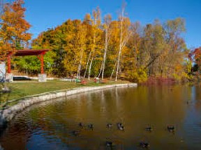 A joint Fairy Lake research project and restoration plan was unveiled publicly Jan. 25 at the Town of Saugeen Shores committee of the whole meeting. It will study the lake's poor water quality, due in part, to invasive plants and fish that often left the water murky as in this file photo.