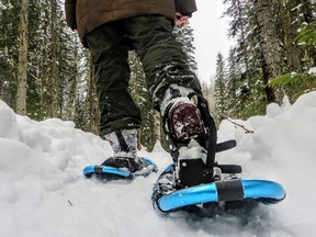 A ground view and closeup of the legs and feet of a person wearing nice snowshoes as they walk with the beautiful winter landscape and snow covered forests of Fernie, British Columbia, Canada.