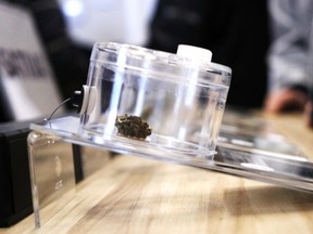 Cannabis flowers on display at Kana Leaf, Nipissing First Nation's first cannabis retail store.
Nugget File Photo