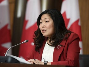 Minister of International Trade Mary Ng .THE CANADIAN PRESS/Justin Tang