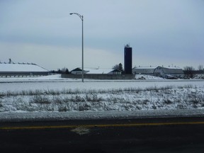 The Hammond farm today, back in the family: “When they finished, Allan said ‘I have a few things to say’. He told them how moving dairy cattle to another operation, how learning to farm with different soil and adjusting to a new community, were things they hadn’t factored in.”