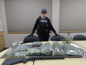 Three Hills RCMP executed a search warrant on Christmas Day and seized a large amount of illicid cannabis .