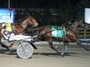 Lauras Love, owned by London trainer John Pentland and Thamesford’s Gracie Mae Barr