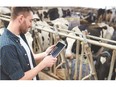 Dairy farmers can use benchmarking information to see what makes their farm successful and how to improve their operations in the future.