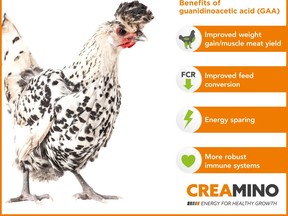 Protekta_Creamino GAA Benefits