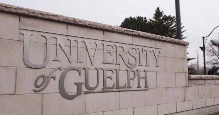 University Of Guelph Research Project Exposes Pandemic Impact On Mental ...