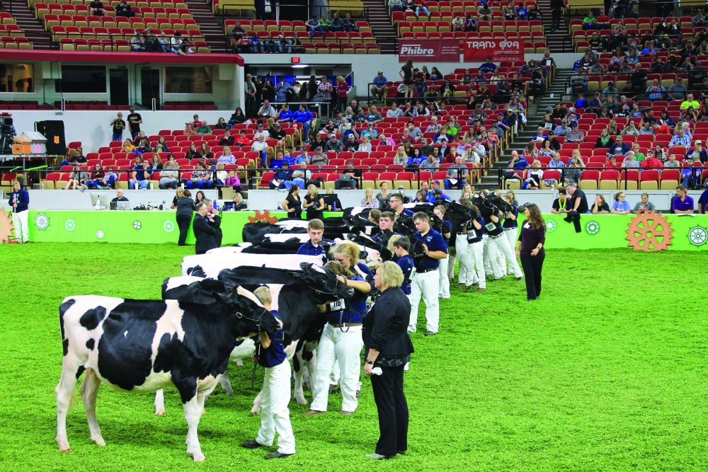 Sixteen judges named for 2021 World Dairy Expo Ontario Farmer