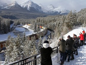 Visitors to the Lake Louise area said they didn't mind waiting for a shot of a west bound train along the Bow Valley Parkway at Morant's Curve on Jan. 29. to pass through the S-curve of the railway tracks towards Field. BC., where a CP Rail grain spill took place earlier in the week when a train derailed on Jan. 26. Photo credit Marie Conboy/ Postmedia.