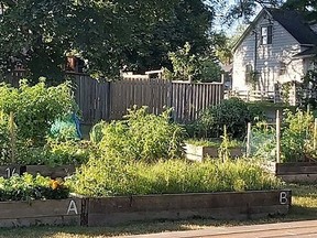 Bayview Heights at 75 Bay Drive, is one of the three community gardens run through the City of Belleville's Community Garden Program. Applications for the 2021 growing season are now being accepted. MARILYN WARREN PHOTO