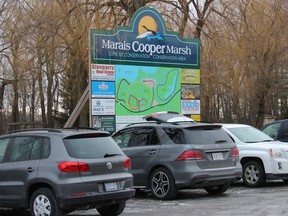 The Cooper Marsh Conservation Area drew a lot of cardloads of guests for a winter walk on the various trails. Photo on Friday, January 1, 2020, in South Lancaster, Ont. Todd Hambleton/Cornwall Standard-Freeholder/Postmedia Network