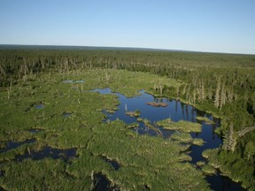 Wood Buffalo National Park. Supplied Image/Parks Canada