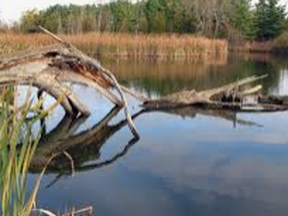 grand river